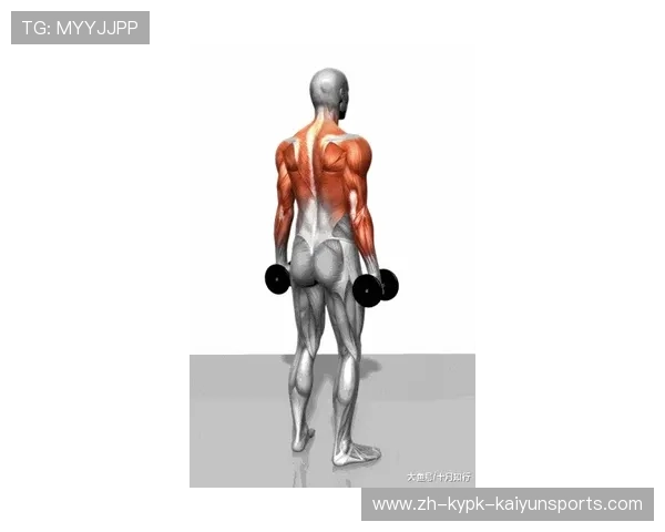 飞鸟健身器材：飞鸟训练器材的特点与肌群针对性讲解